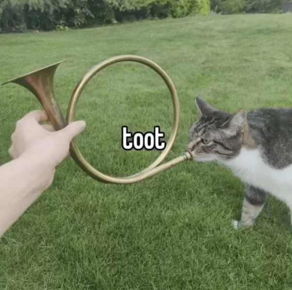 KatBambi