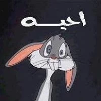 Bakry Radwan
