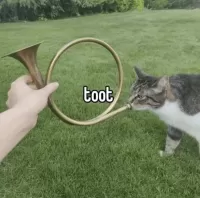 KatBambi