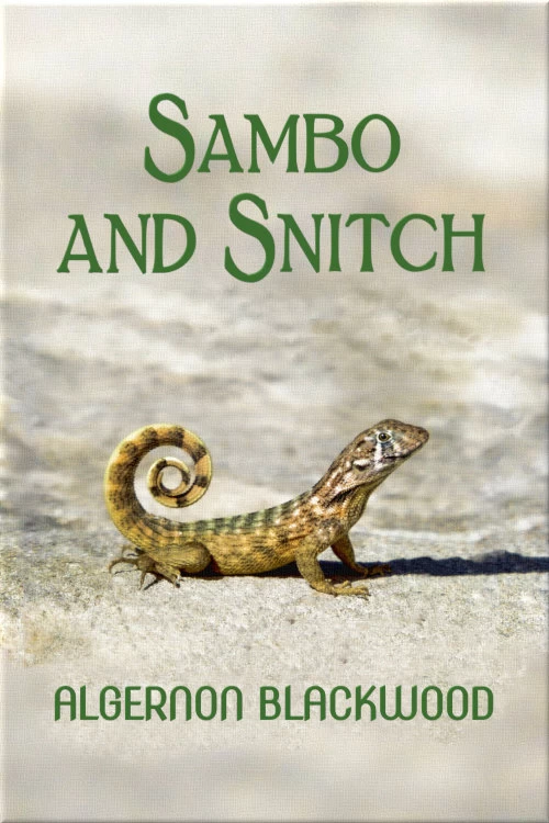 Sambo and Snitch by Algernon Blackwood
