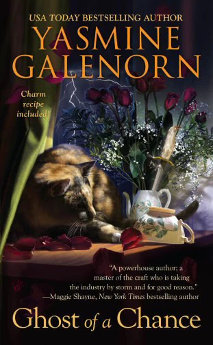 Ghost of a Chance (The Chintz 'n China Mystery Series #1) by Yasmine Galenorn