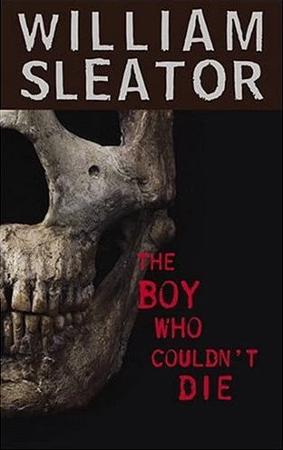 The Boy Who Couldn't Die by William Sleator