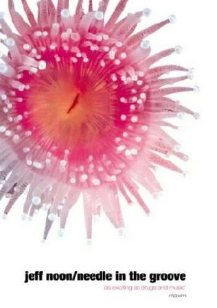 Needle in the Groove by Jeff Noon