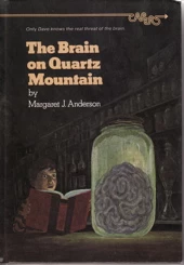 The Brain on Quartz Mountain by Margaret J. Anderson