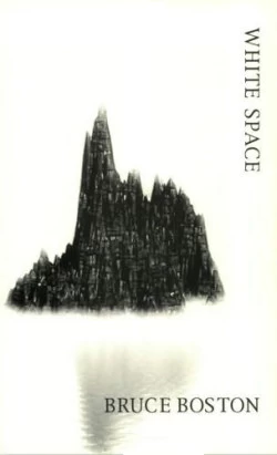 White Space by Bruce Boston