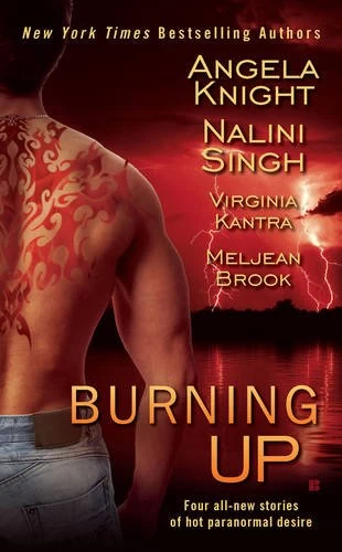 Burning Up by Meljean Brook, Nalini Singh, Angela Knight, Virginia Kantra