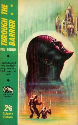 Through the Barrier by Pel Torro