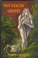 Not Exactly Ghosts by Andrew Caldecott