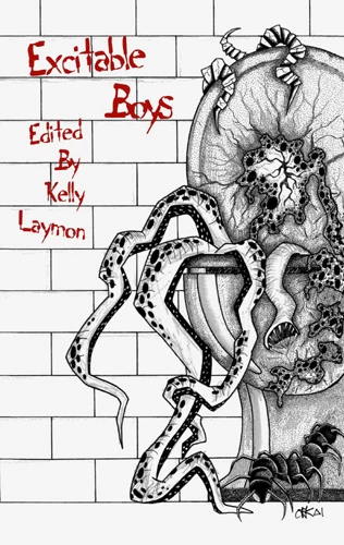 Excitable Boys by Kelly Laymon