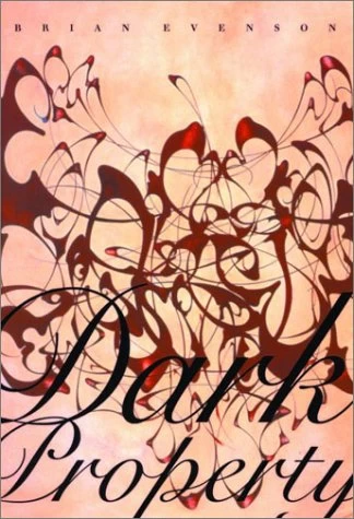 Dark Property: An Affliction by Brian Evenson