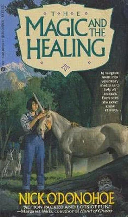 The Magic and the Healing (Crossroads Series #1) by Nick O'Donohoe