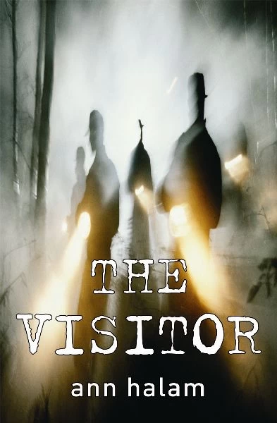 The Visitor by Ann Halam