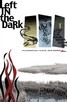 Left in the Dark: The Supernatural Tales of John Gordon by John Gordon