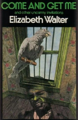 Come and Get Me and Other Uncanny Invitations by Elizabeth Walter