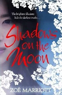 Shadows on the Moon