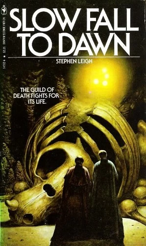Slow Fall to Dawn (NewEden #1) by Stephen Leigh
