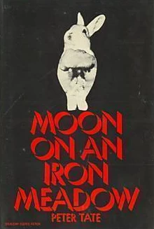 Moon on an Iron Meadow