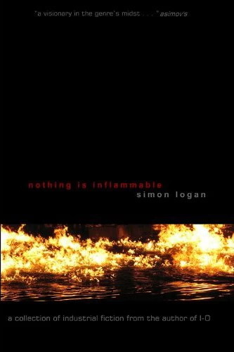 Nothing Is Inflammable by Simon Logan
