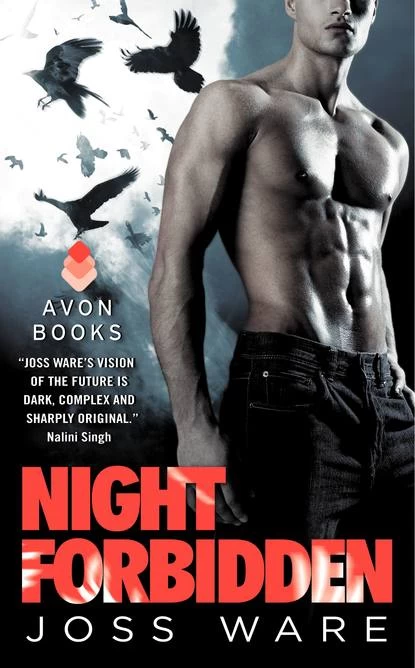 Night Forbidden (Awakening Heroes #5) by Joss Ware