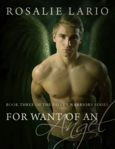 For Want of an Angel (The Fallen Warriors #3) by Rosalie Lario