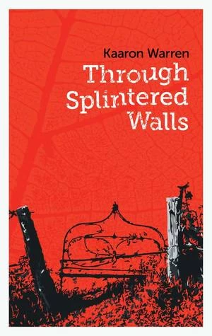 Through Splintered Walls by Kaaron Warren