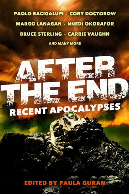 After the End: Recent Apocalypses by Paula Guran