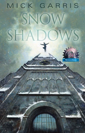 Snow Shadows