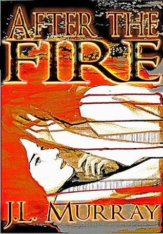 After the Fire (After the Fire #1) by J. L. Murray