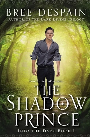 The Shadow Prince (Into the Dark #1) by Bree Despain
