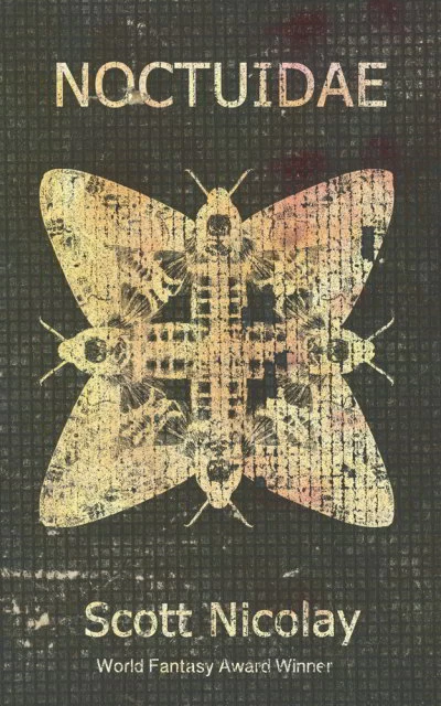 Noctuidae by Scott Nicolay