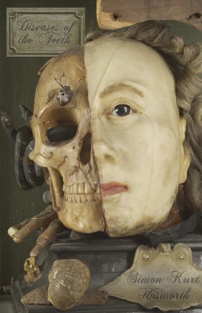 Diseases of the Teeth by Simon Kurt Unsworth