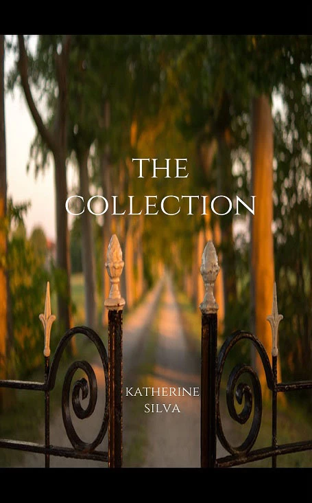 The Collection by Katherine Silva