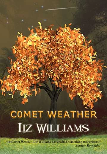 Comet Weather (Comet Weather #1) by Liz Williams