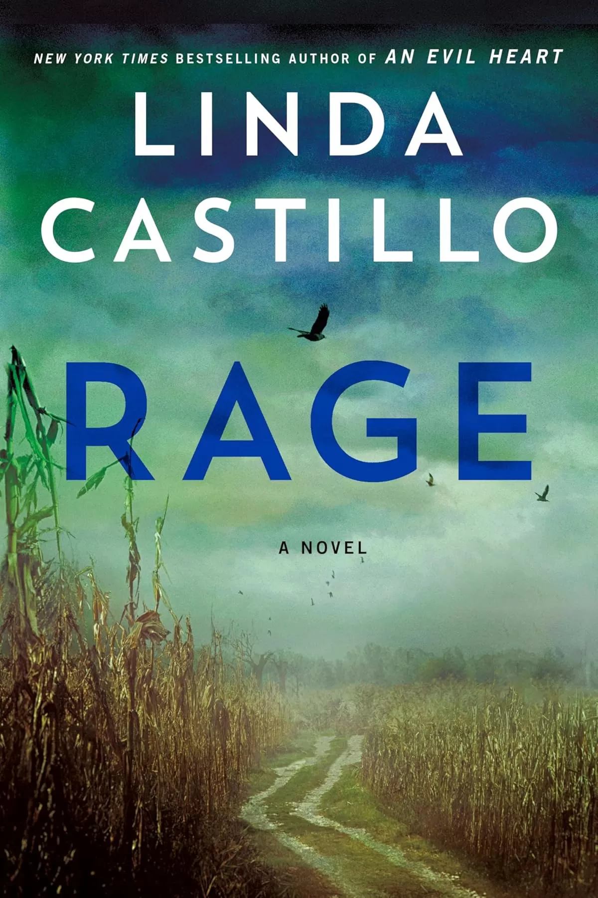 Rage (Kate Burkholder #17) by Linda Castillo