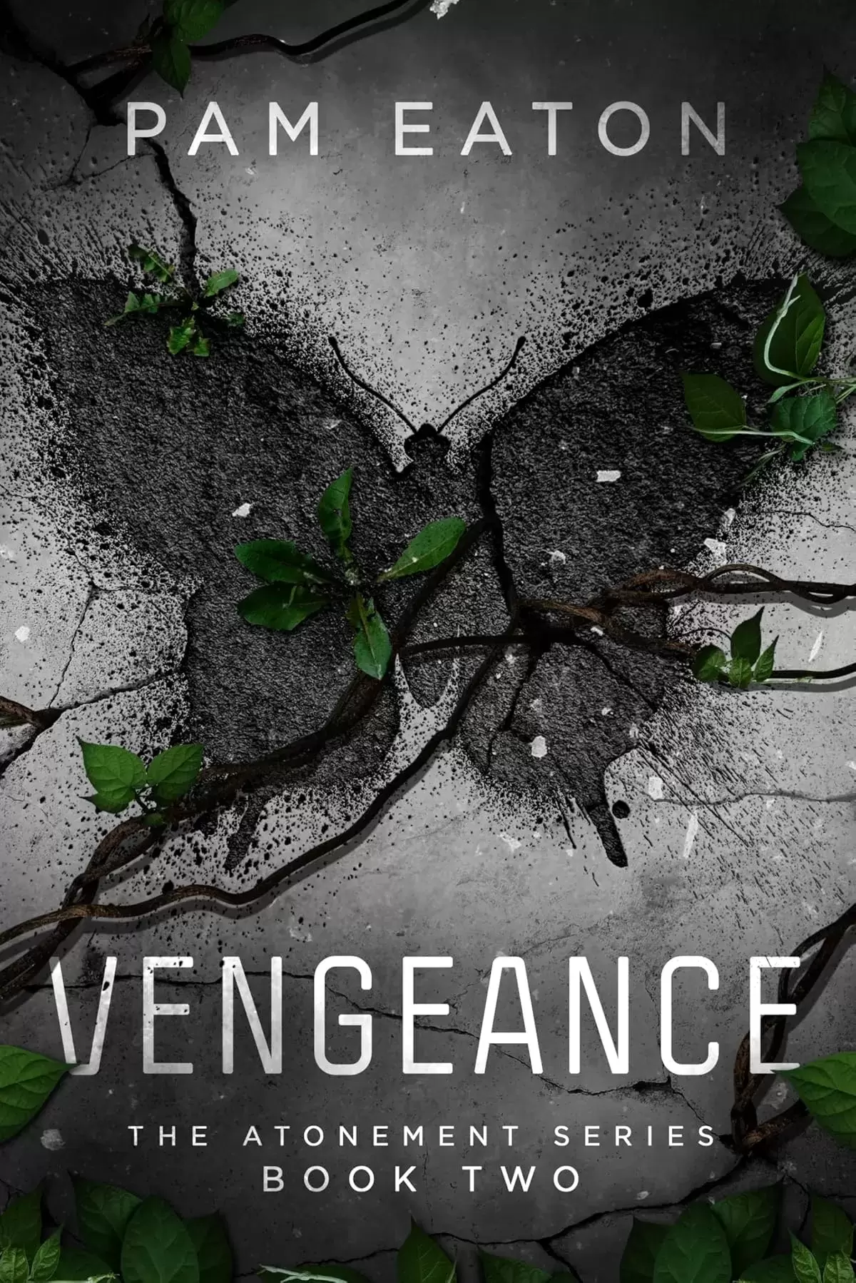 Vengeance (The Atonement Series #2) by Pam Eaton
