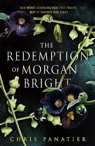 The Redemption of Morgan Bright by Chris Panatier