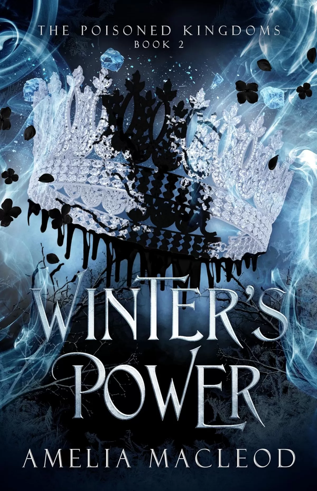Winter's Power