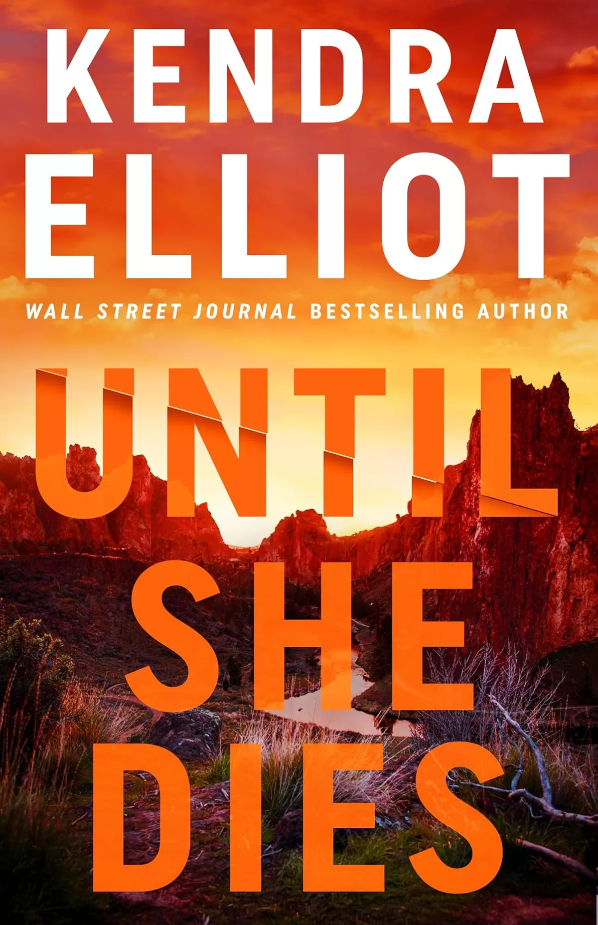 Until She Dies (Noelle Marshall #3) by Kendra Elliot