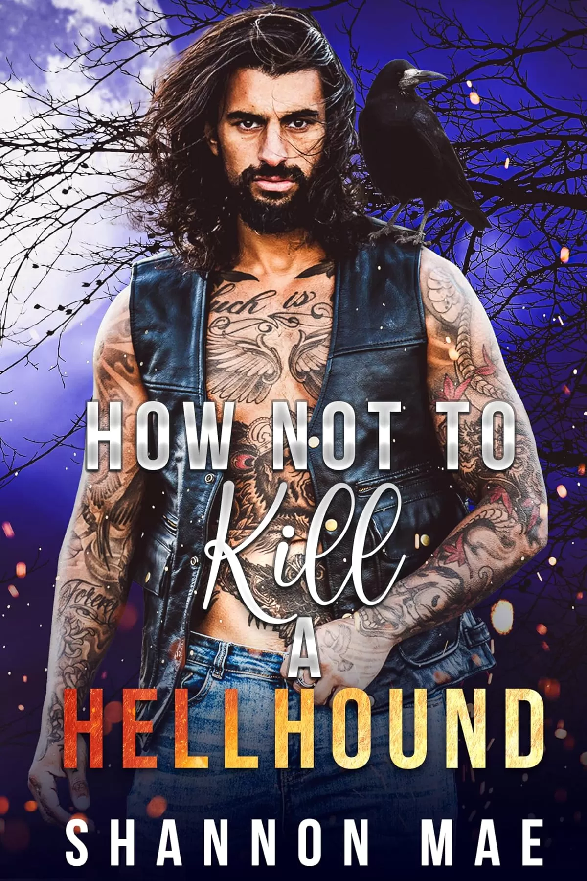 How Not to Kill a Hellhound (Hellhounds of Paradise Falls #5) by Shannon Mae