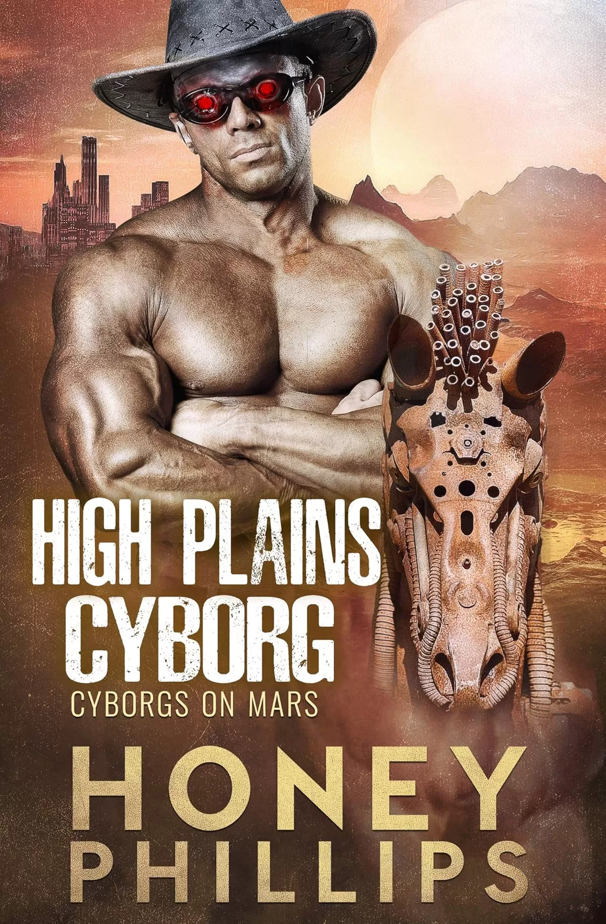High Plains Cyborg