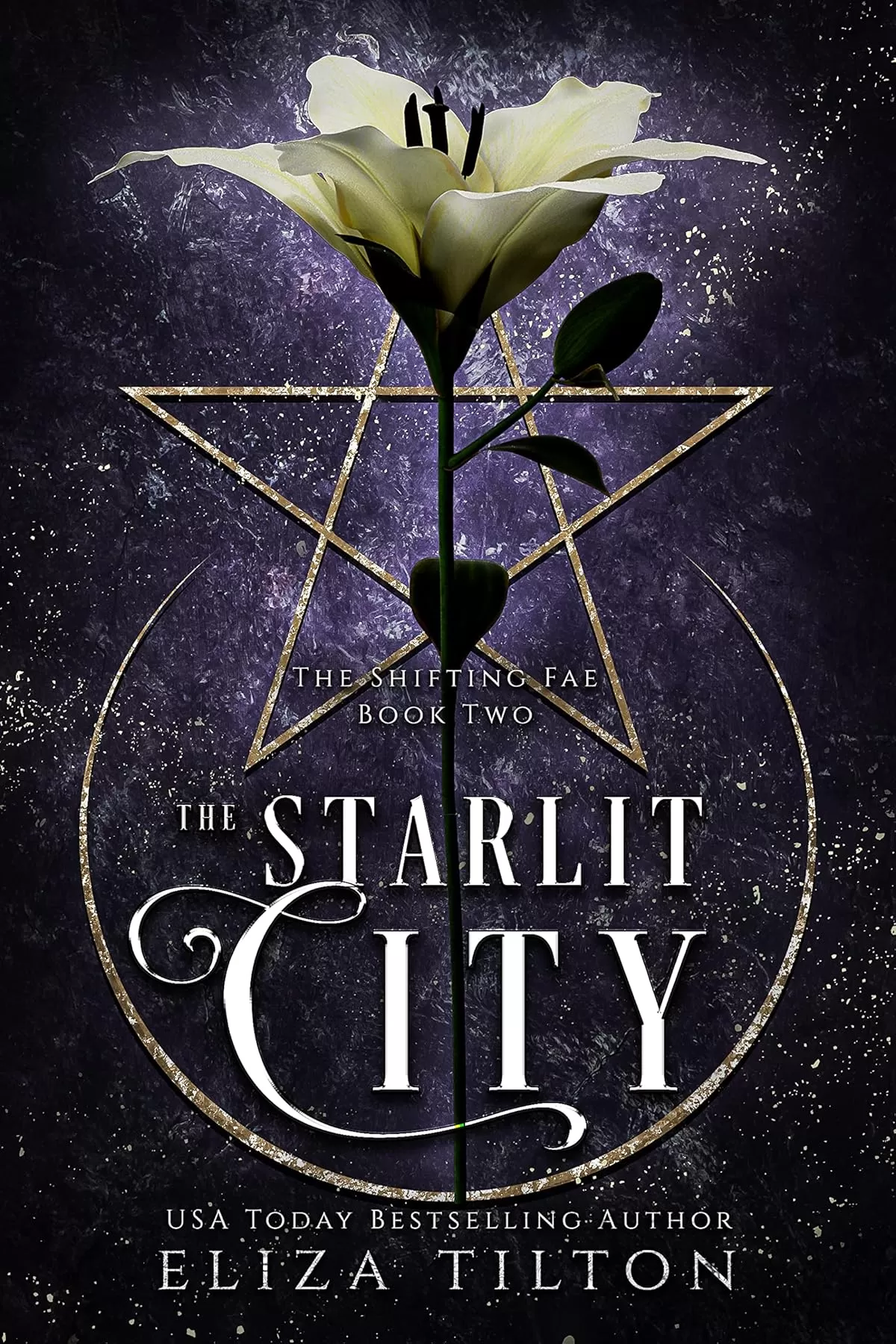 The Starlit City