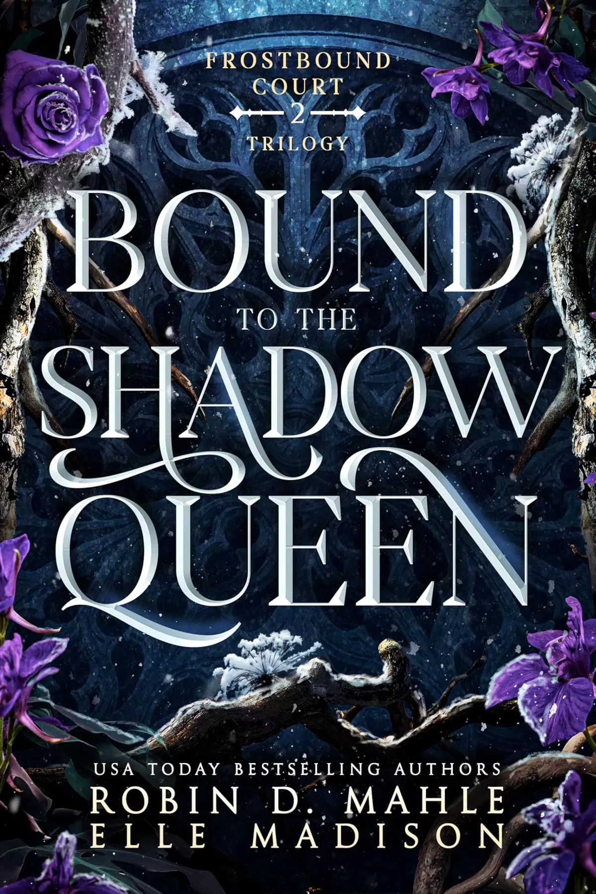 Bound to the Shadow Queen (Frostbound Court #2) by Elle Madison, Robin D. Mahle