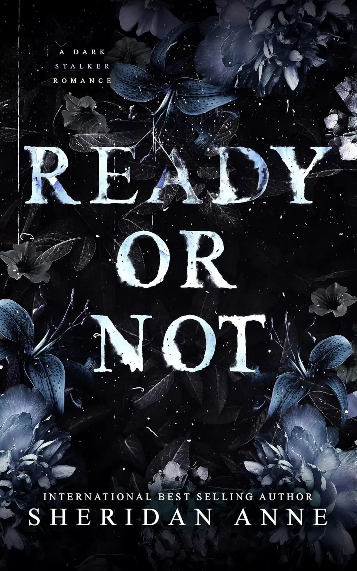 READY OR NOT: A Dark Stalker Romance (Hide and Seek Series #2) by Sheridan Anne