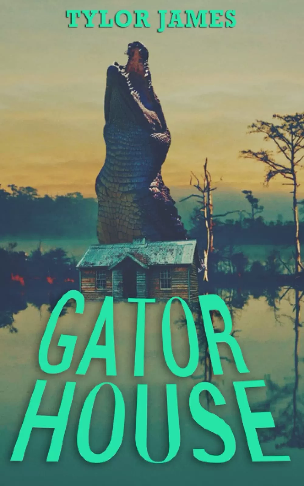 Gator House by Tylor James