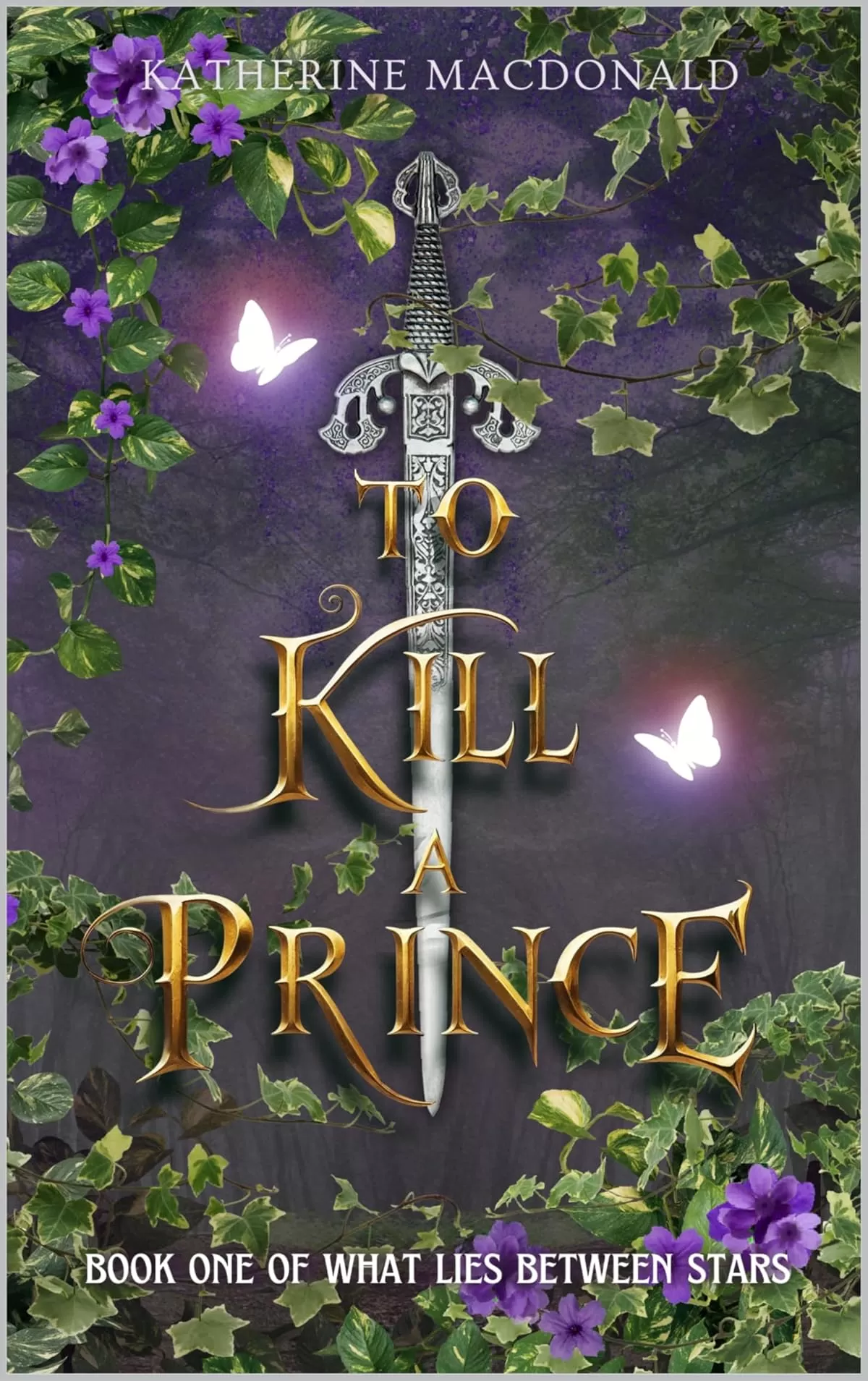 To Kill A Prince (What Lies Between Stars #1) by Katherine Macdonald