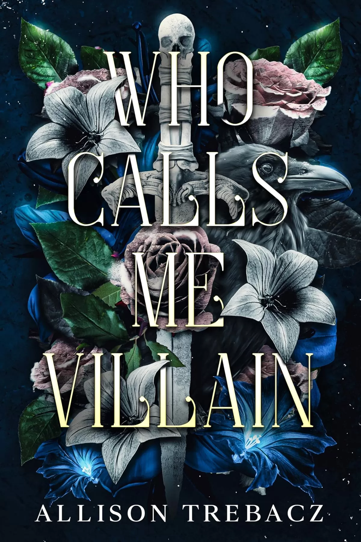 Who Calls Me Villain