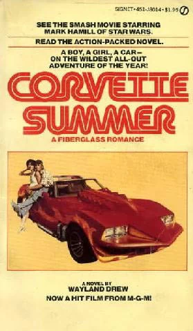 Corvette Summer by Wayland Drew