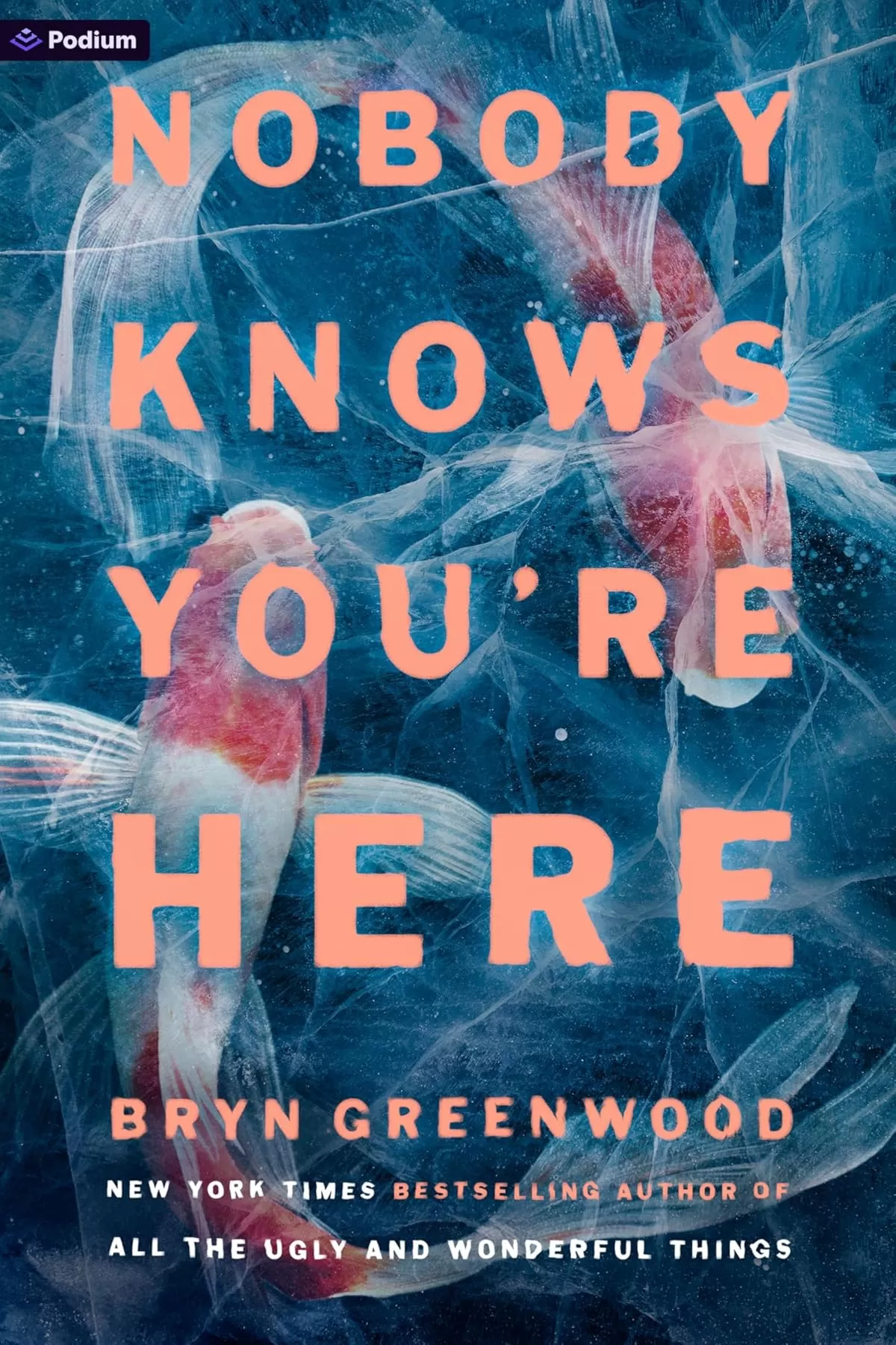 Nobody Knows You're Here by Bryn Greenwood