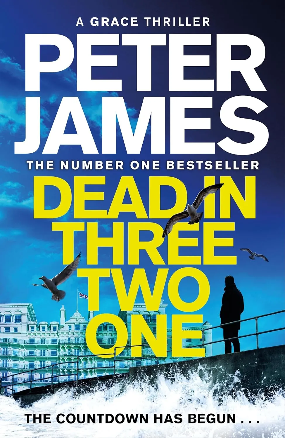 Dead in Three Two One (Roy Grace #22) by Peter James