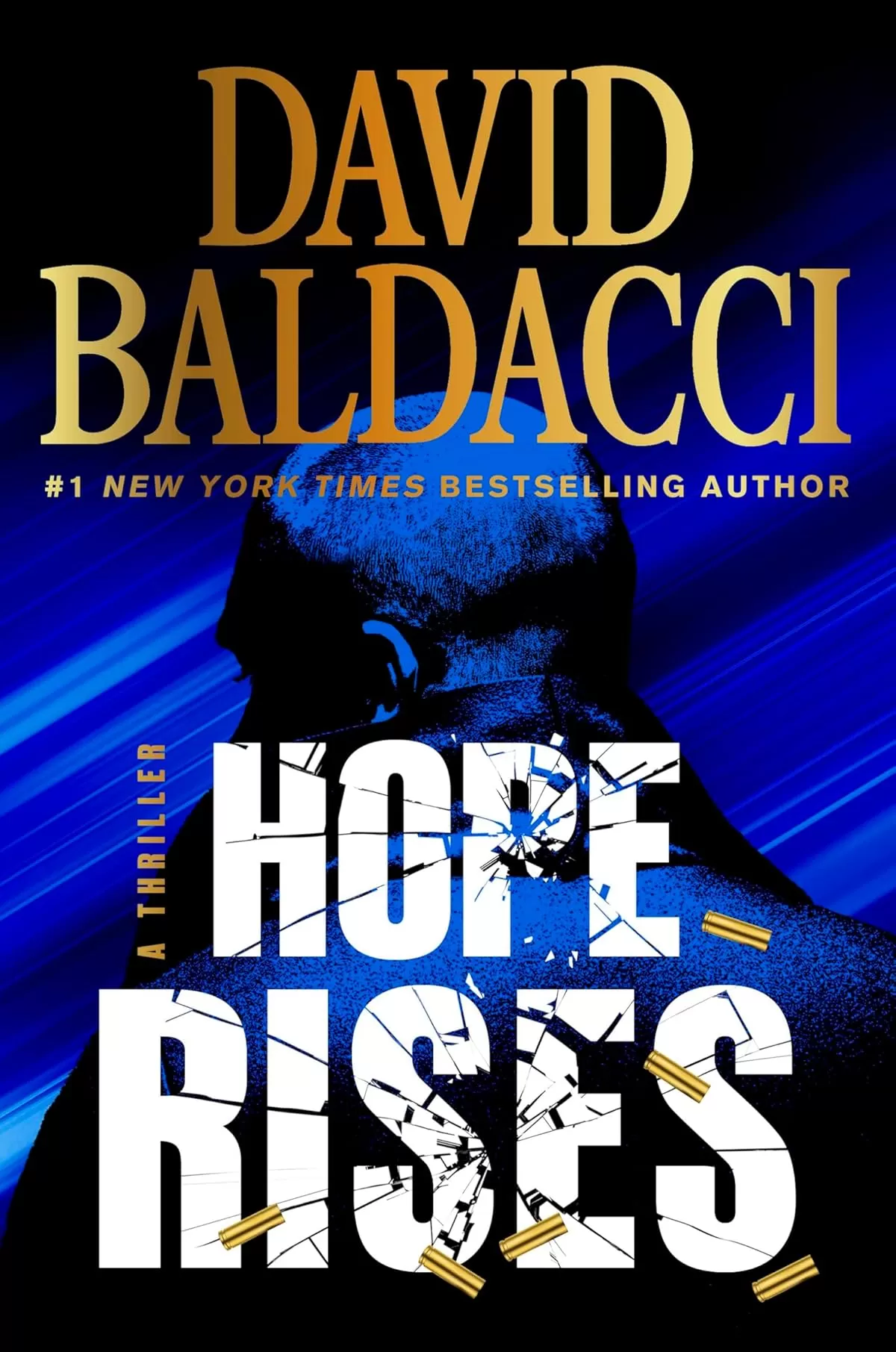 Hope Rises (Walter Nash #2) by David Baldacci